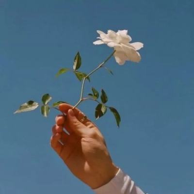 苍穹大陆官方版下载